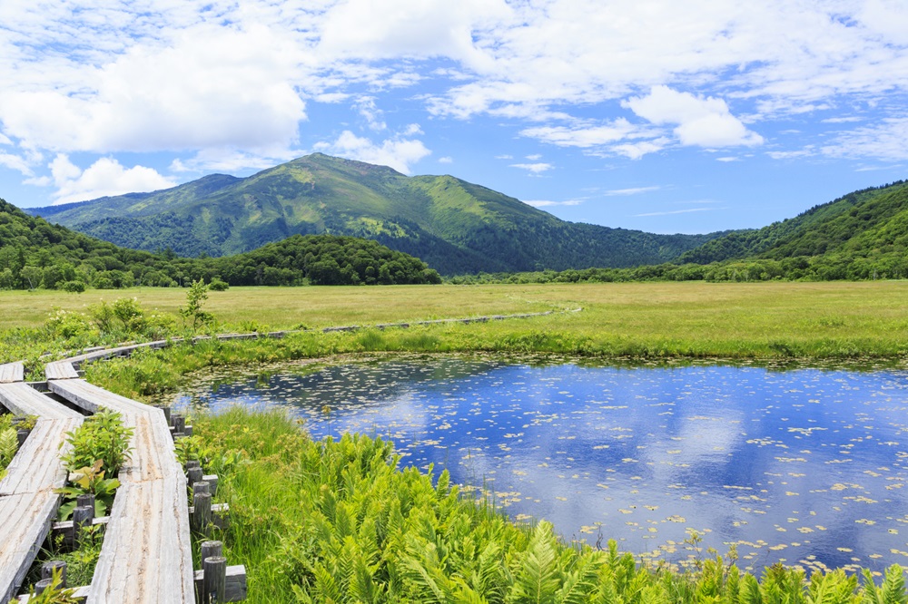 尾瀬ヶ原