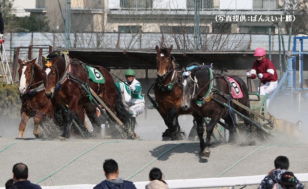 北海道でしか楽しめない「ばんえい競馬」