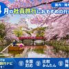 4月の社員旅行でおすすめの場所は？【国内・海外】