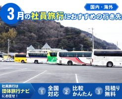 3月の社員旅行におすすめの行き先