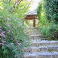 奈良の白毫寺（萩のお寺）