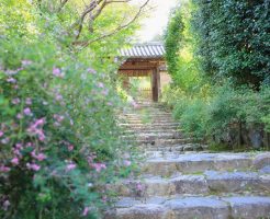 奈良の白毫寺（萩のお寺）