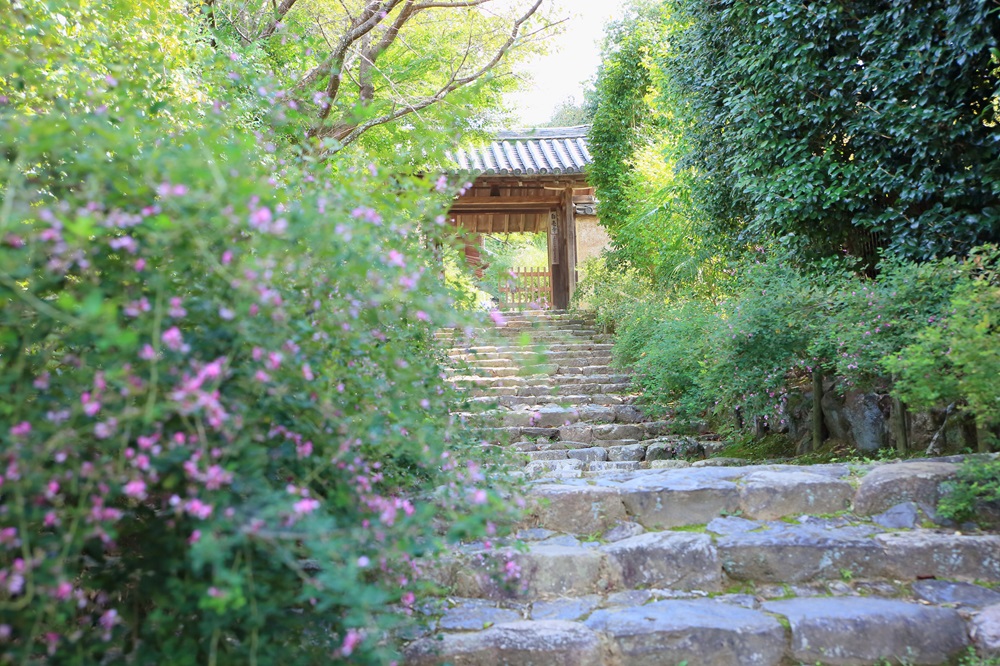 奈良の白毫寺（萩のお寺）