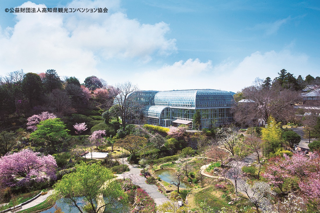 牧野植物園