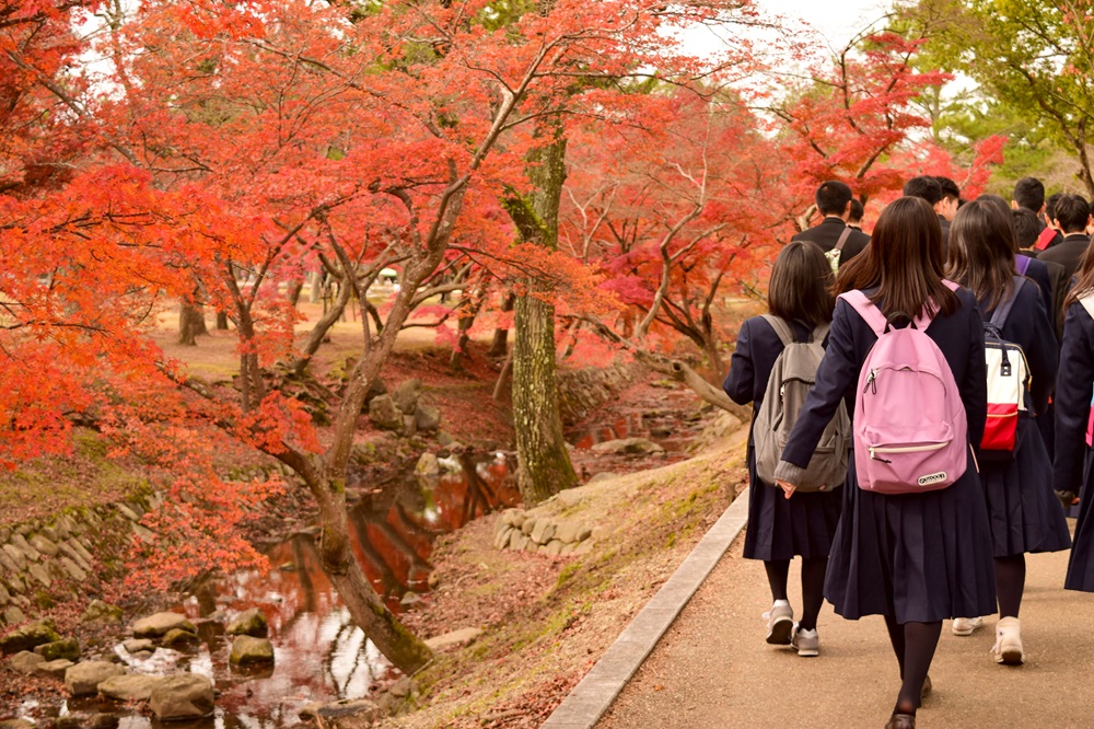 学校団体で出かける旅行も対象の保険