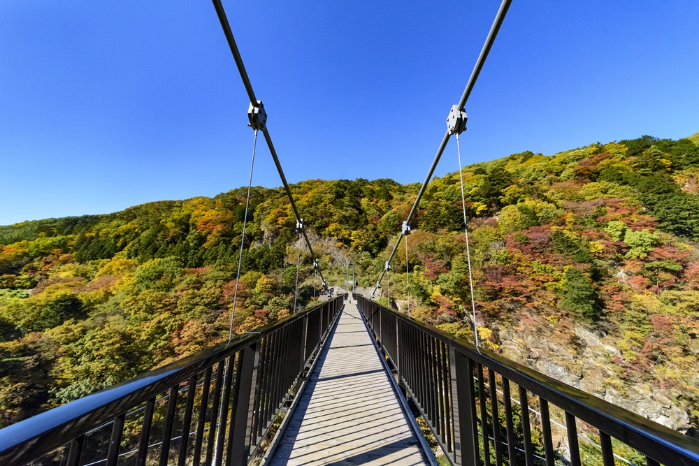 鬼怒楯岩大吊橋