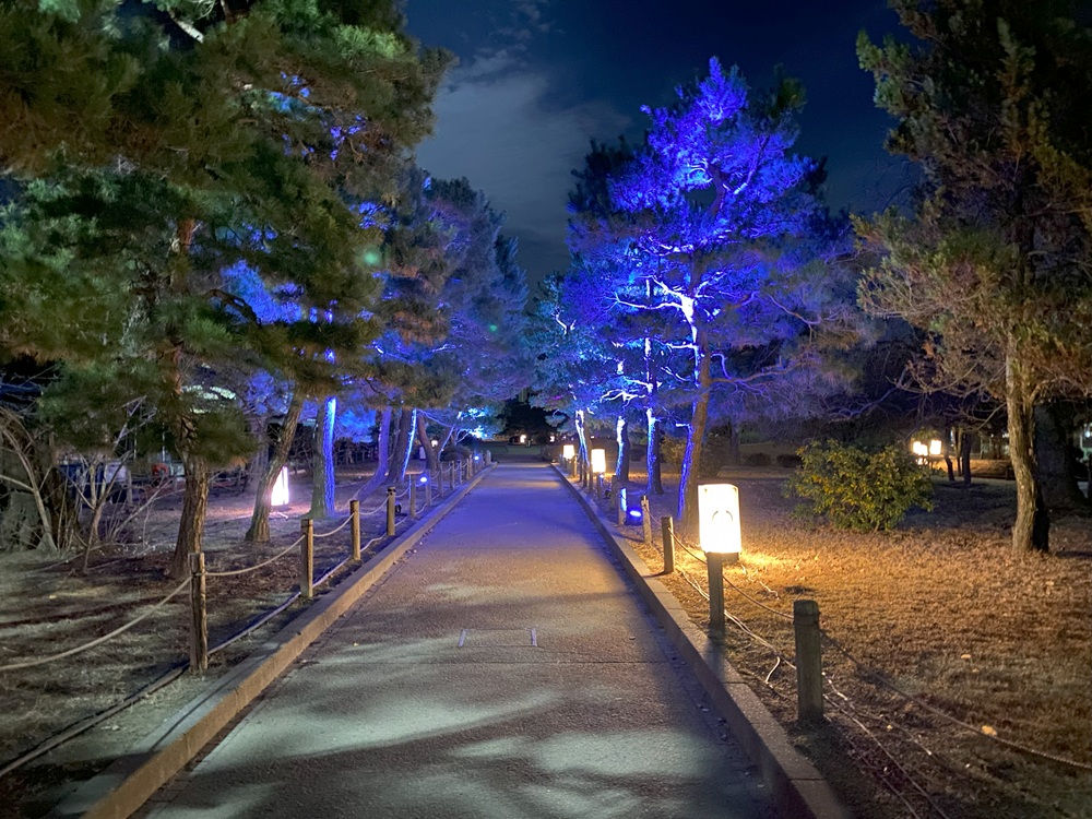 松本城公園でライトアップも