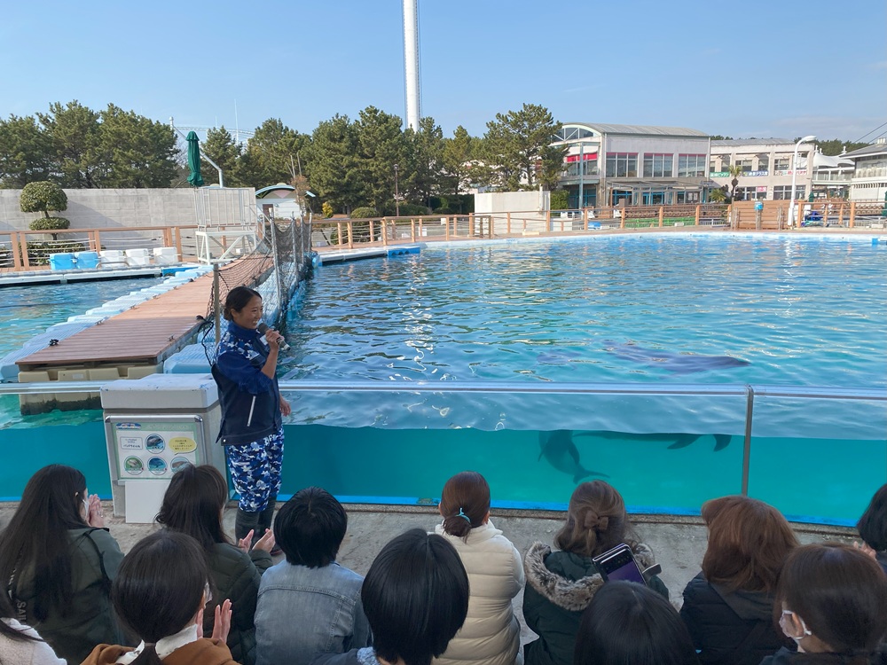 バンドウイルカの繁殖に取り組む「横浜・八景島シーパラダイス」