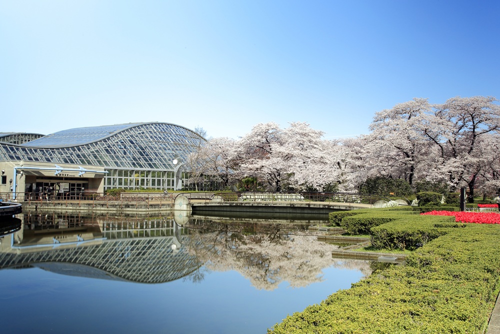 京都府立植物園