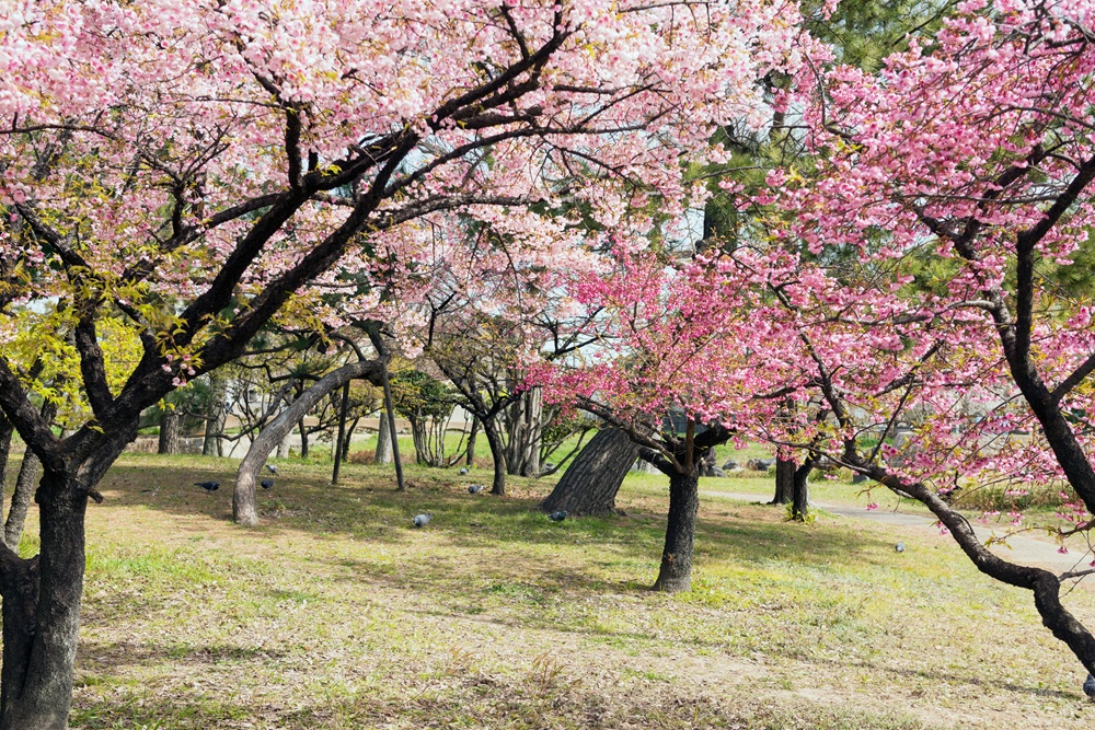 住之江公園